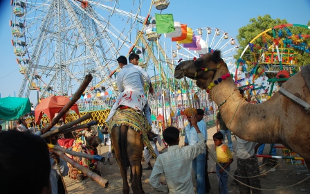 Golden Triangle Tour With Ajmer And Pushkar 
